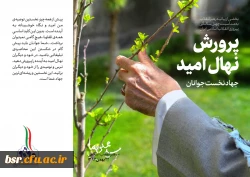 بیانیه گام دوم انقلاب از سوی رهبر حکیم و فرزانه انقلاب اسلامی ایران:
... به جوانان عزیزم؛ برای ساختن ایران اسلامی بزرگ
 2