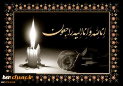 90053_2204155366_530_370