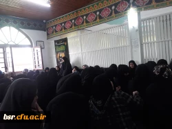 شرکت در مراسم زیارت اربعین حسینی 2