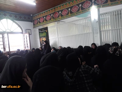 شرکت در مراسم زیارت اربعین حسینی