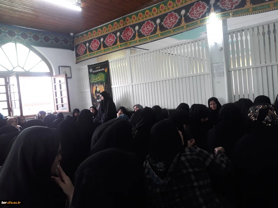 شرکت در مراسم زیارت اربعین حسینی 2