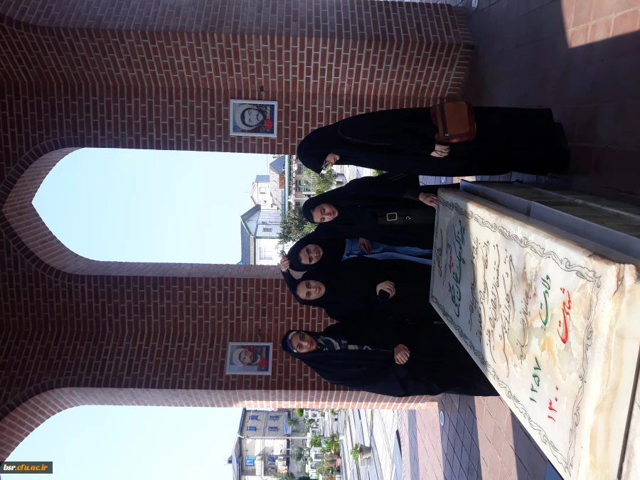 شرکت در مراسم زیارت اربعین حسینی 3