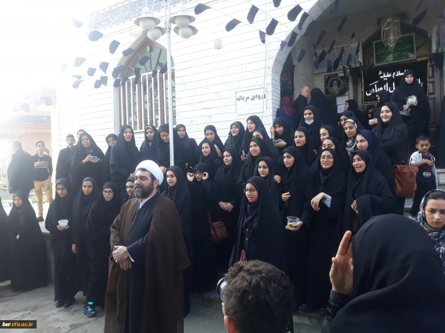 شرکت در مراسم زیارت اربعین حسینی 4