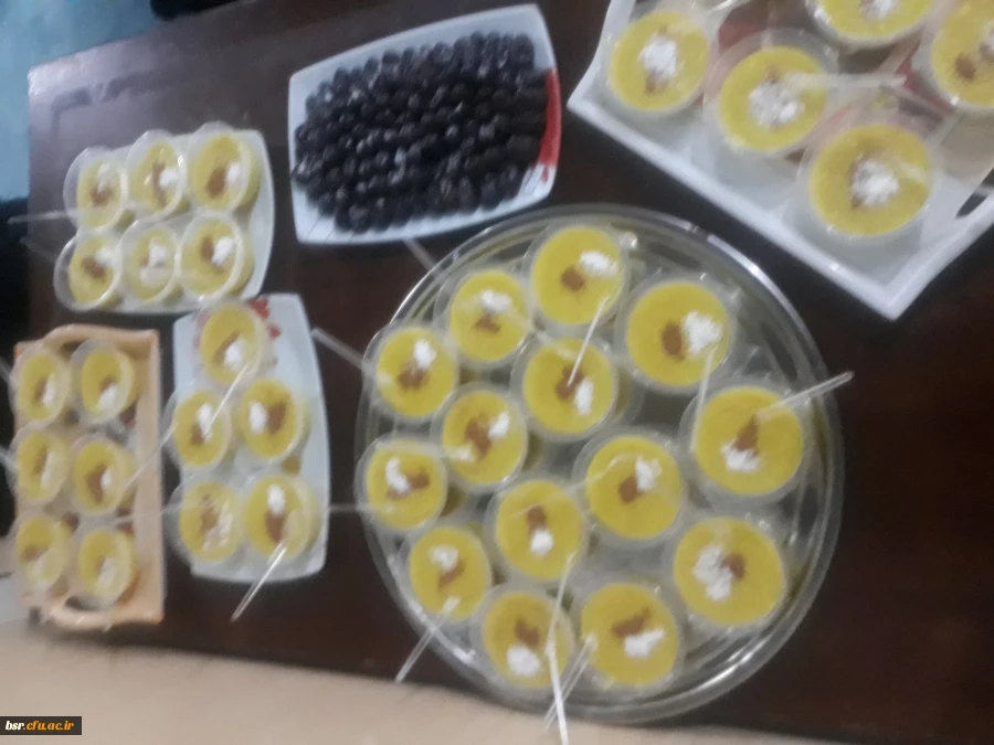 برگزاری مراسم جاماندگان اربعین حسنی 5