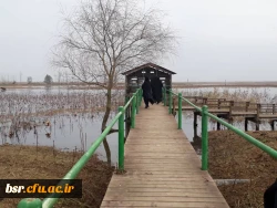 بازدید از تالاب محیط زیست روستای صوفیانده پیربازار 4