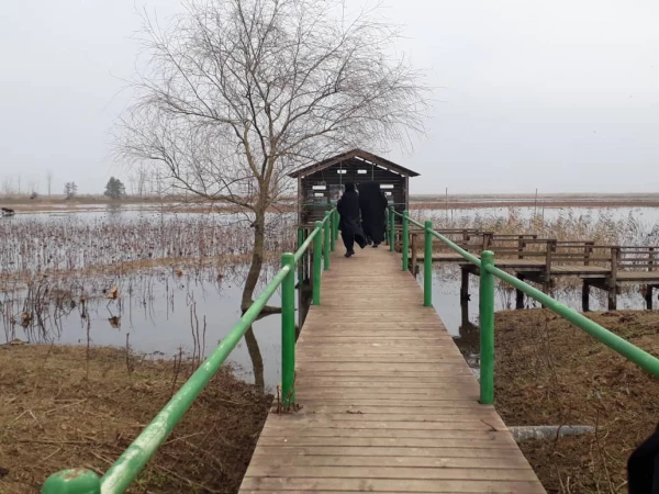 بازدید از تالاب محیط زیست روستای صوفیانده پیربازار 4