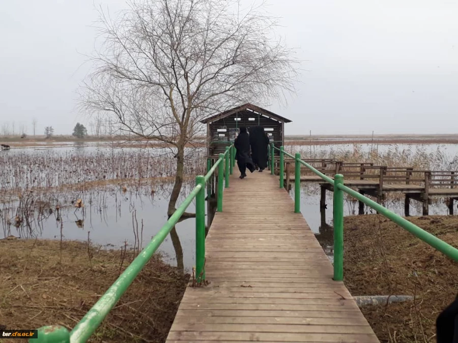بازدید از تالاب محیط زیست روستای صوفیانده پیربازار 4