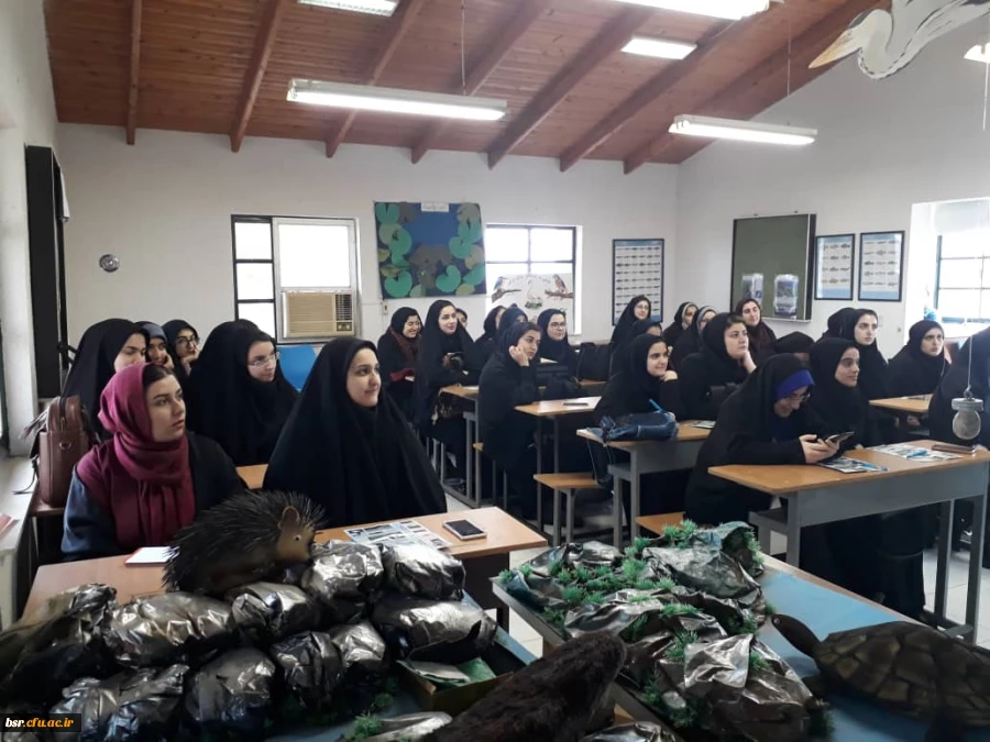 بازدید از تالاب محیط زیست روستای صوفیانده پیربازار 6