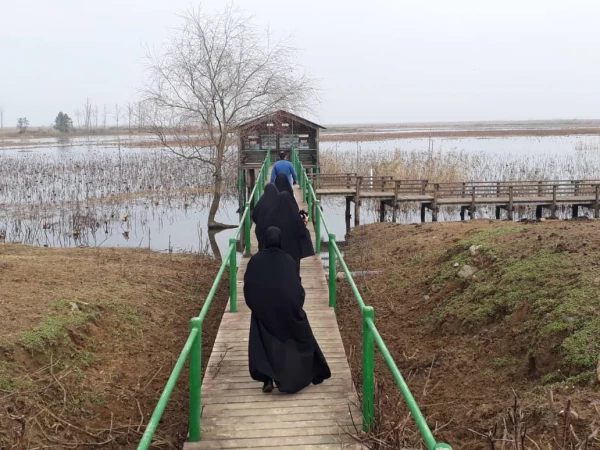 بازدید از تالاب محیط زیست روستای صوفیانده پیربازار 7
