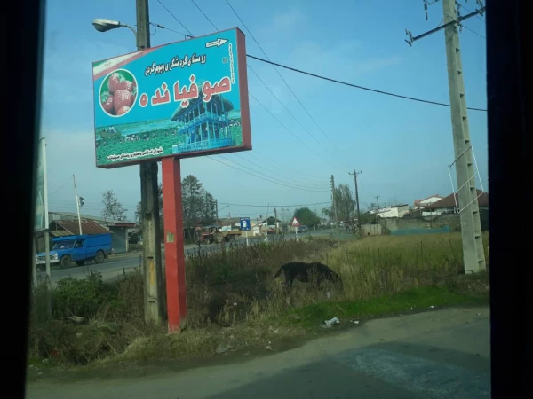 بازدید از تالاب محیط زیست روستای صوفیانده پیربازار 8