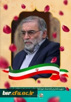 پیام تسلیت دکتر صفری در پی شهادت شهید فخری زاده 2