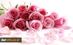 درخشش دانشجومعلمان پردیس شهید بنت الهدی صدر رشت در مرحله کشوری جشنواره قرآن و عترت دانشگاه فرهنگیان 2