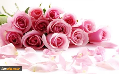 درخشش دانشجومعلمان پردیس شهید بنت الهدی صدر رشت در مرحله کشوری جشنواره قرآن و عترت دانشگاه فرهنگیان